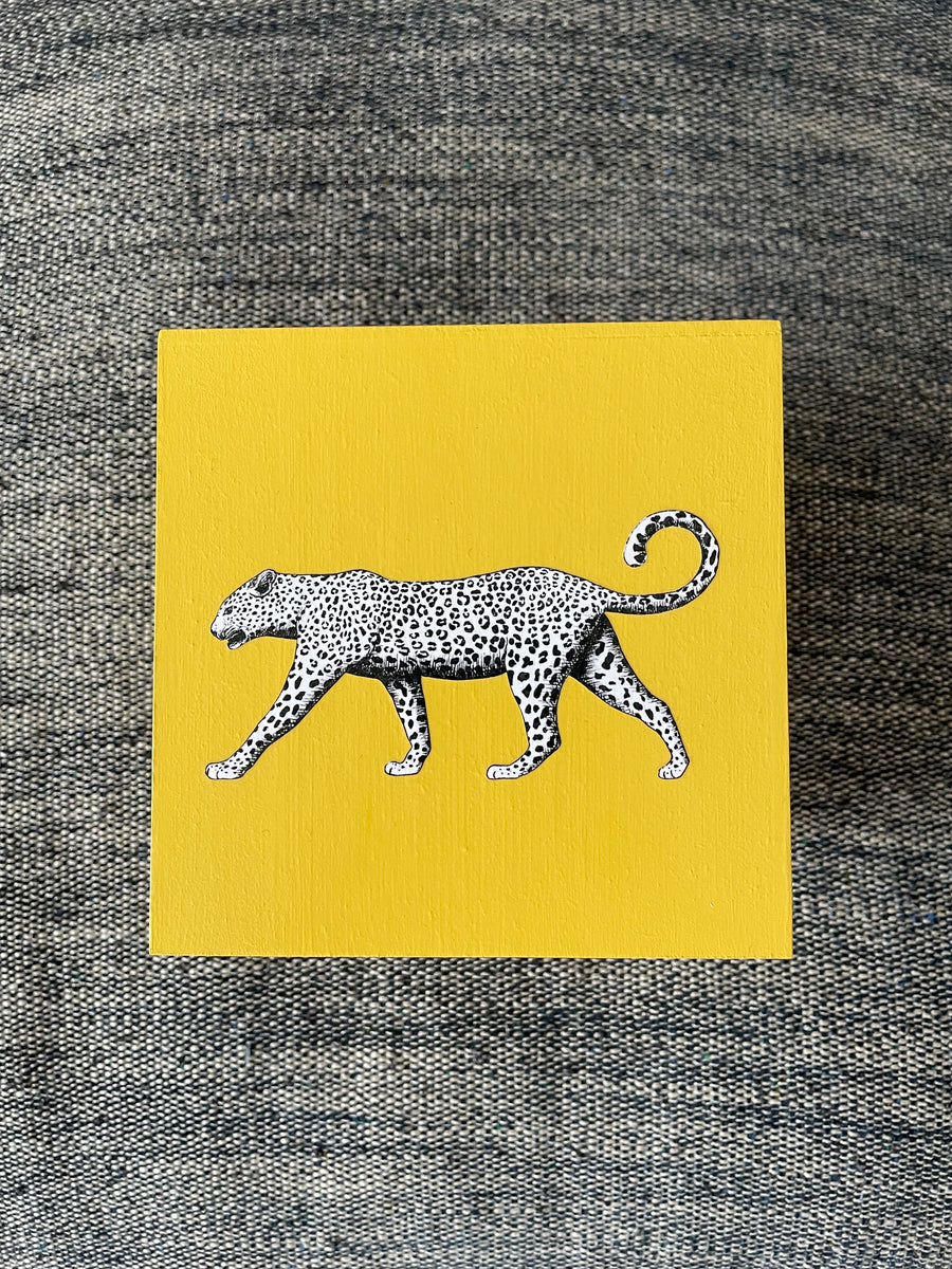 leopard yellow box